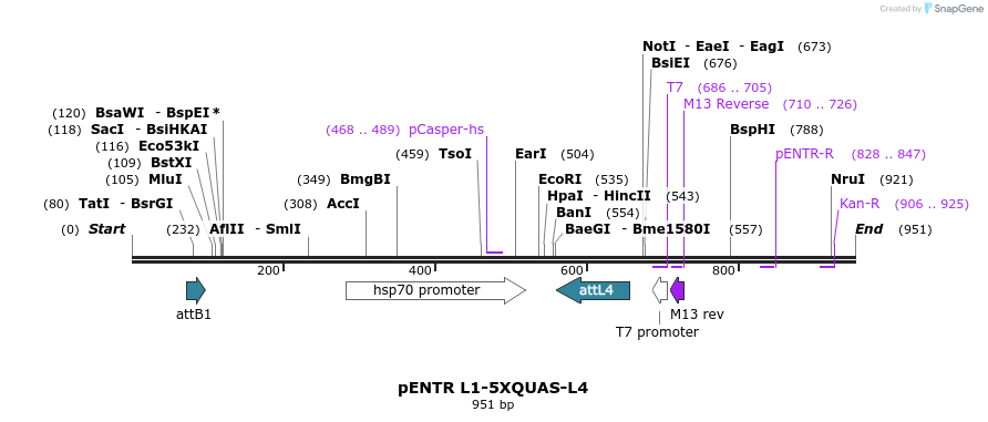 37572_map