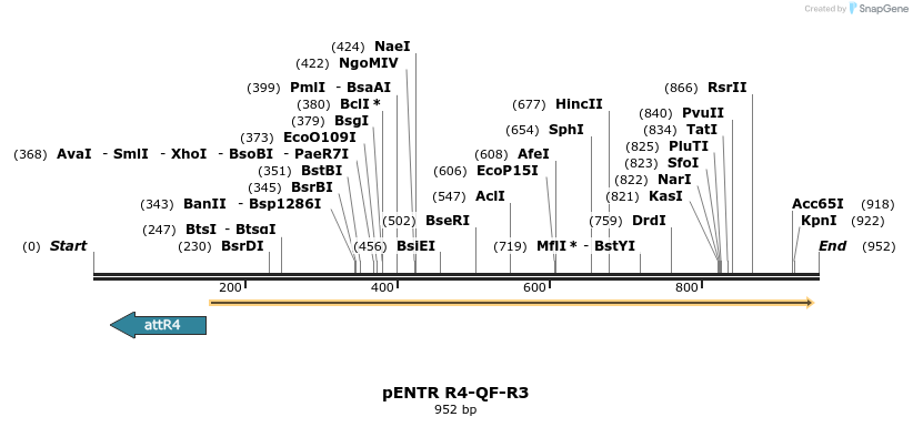 37574_map