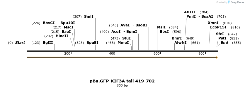 375759_map