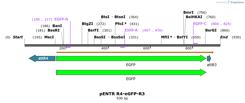 37576_map