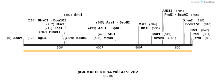 375760_map