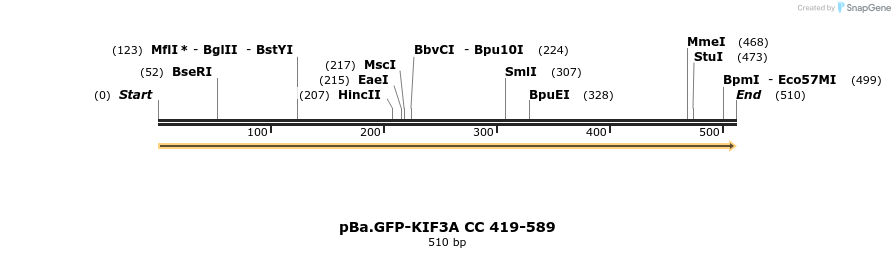 375761_map