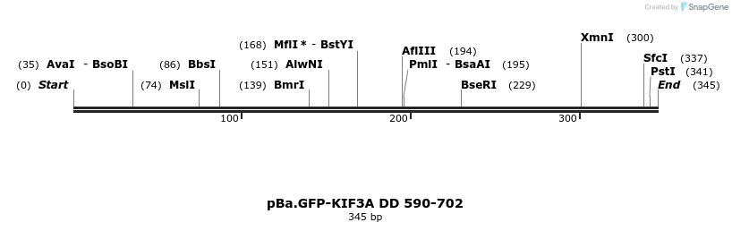 375763_map