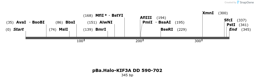 375764_map