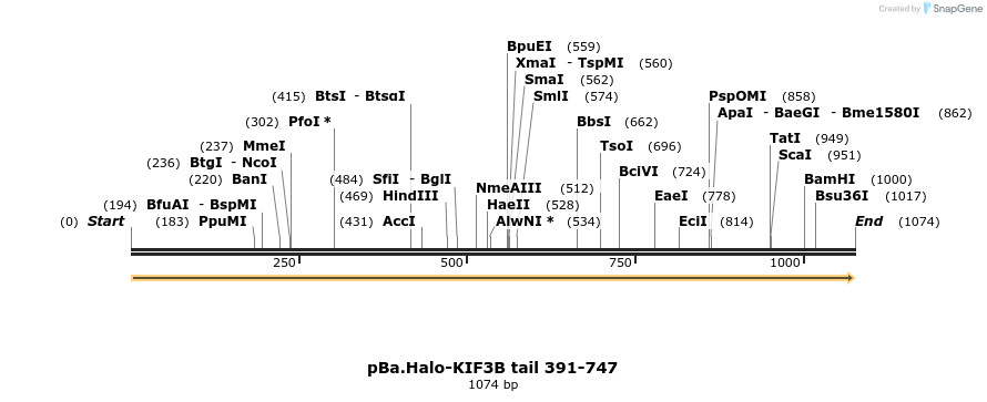 375765_map