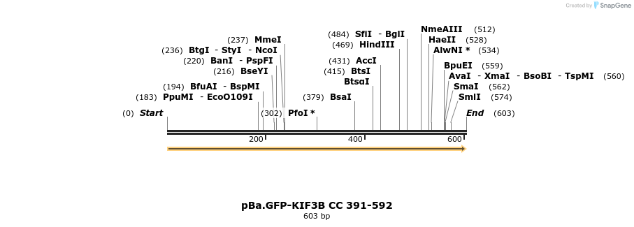 375766_map