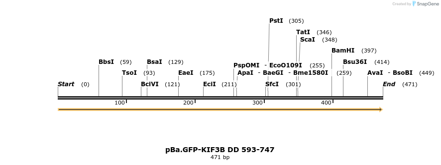 375768_map