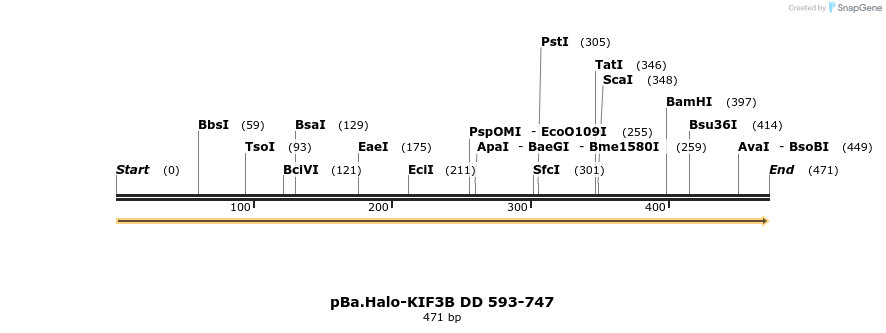 375769_map