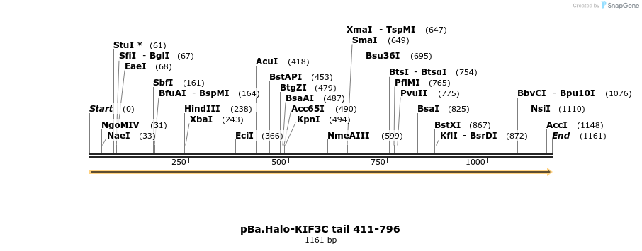 375770_map