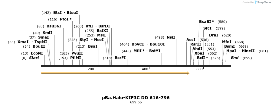 375774_map