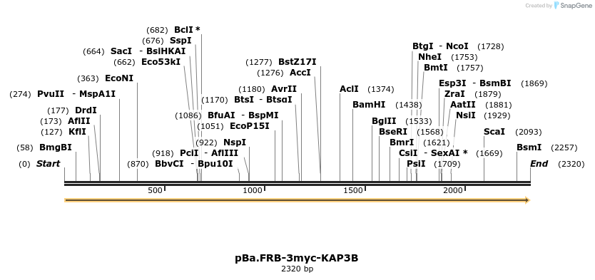375775_map