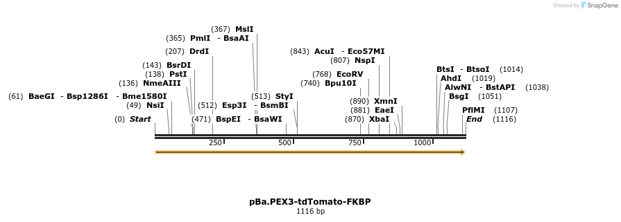 375777_map