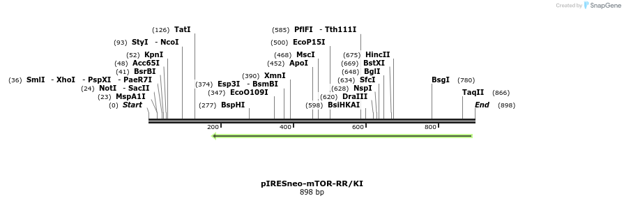 37582_map