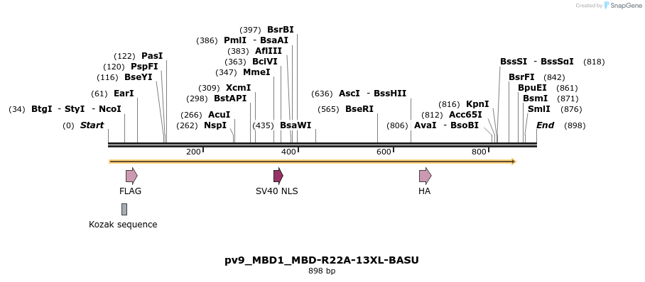 375868_map