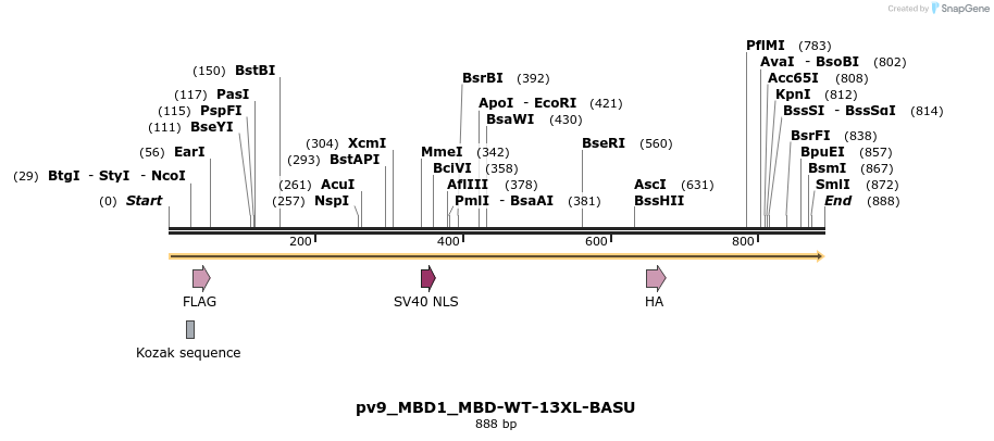 375870_map