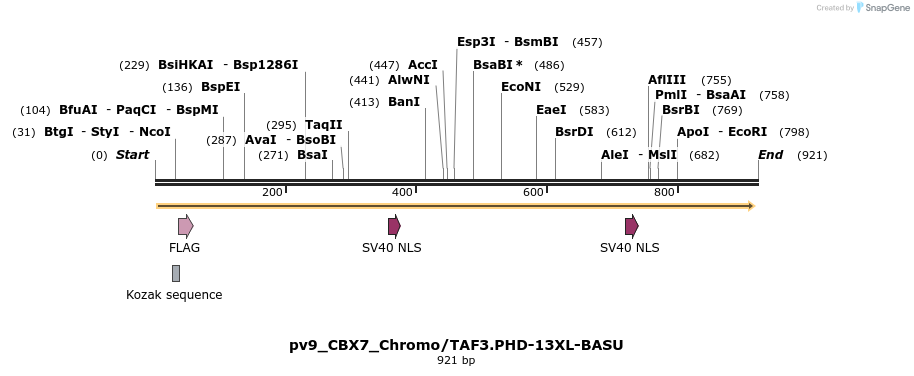 375872_map