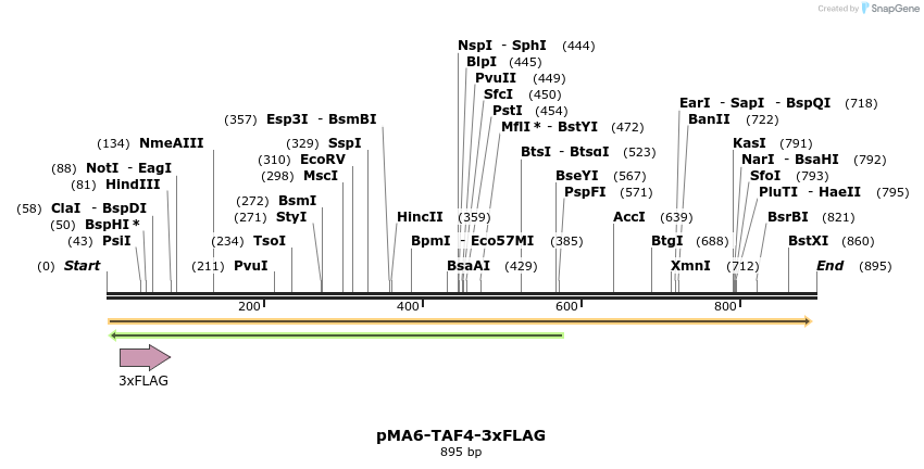 37589_map