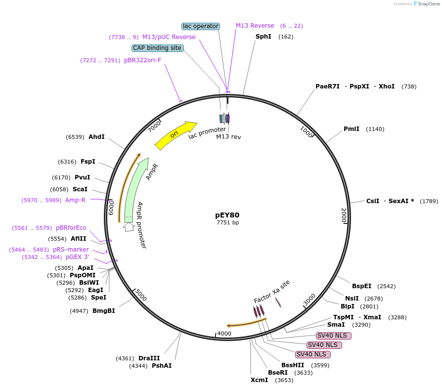 376014_map