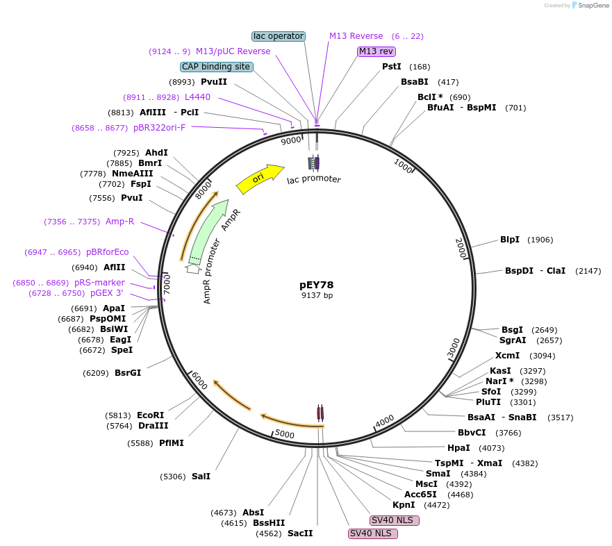 376022_map