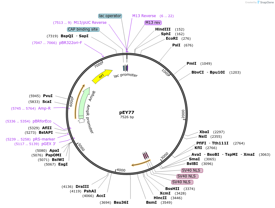 376037_map