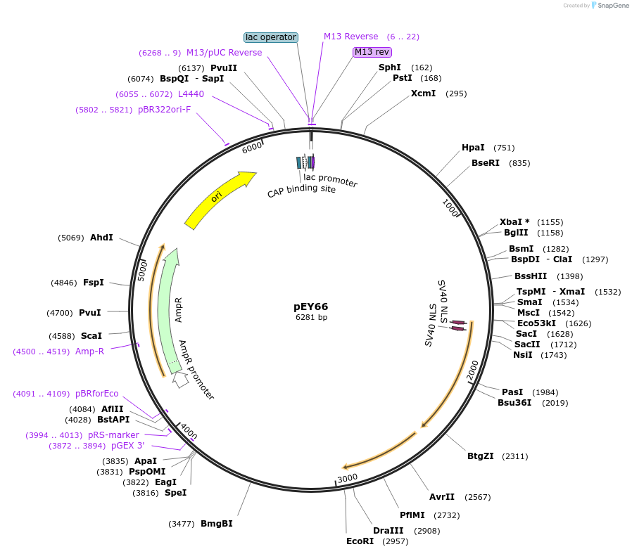376040_map