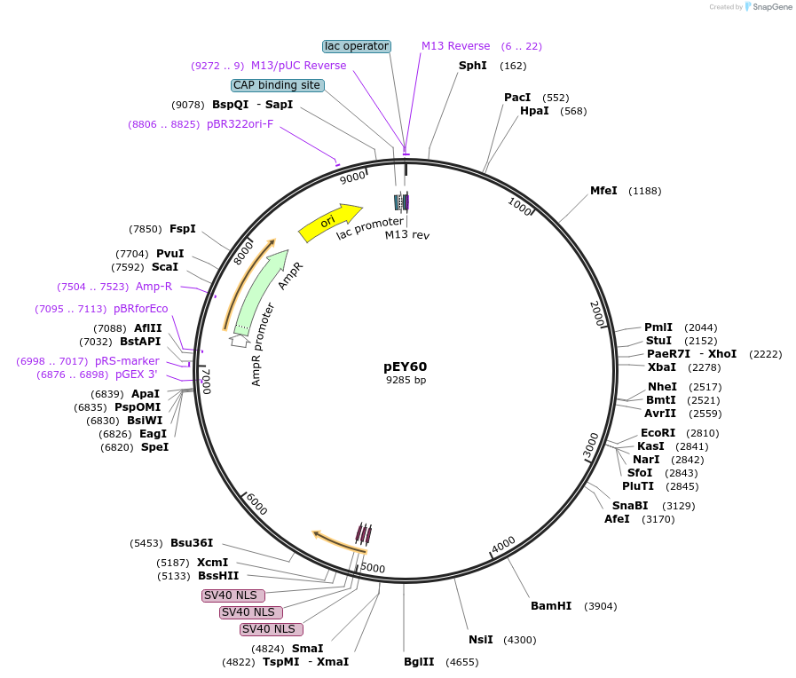 376051_map