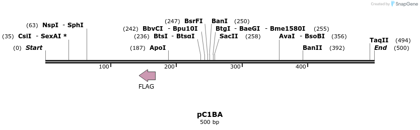 37607_map
