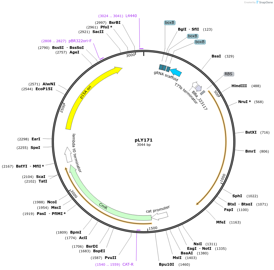 376130_map