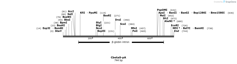 37617_map