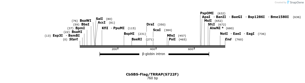 37618_map