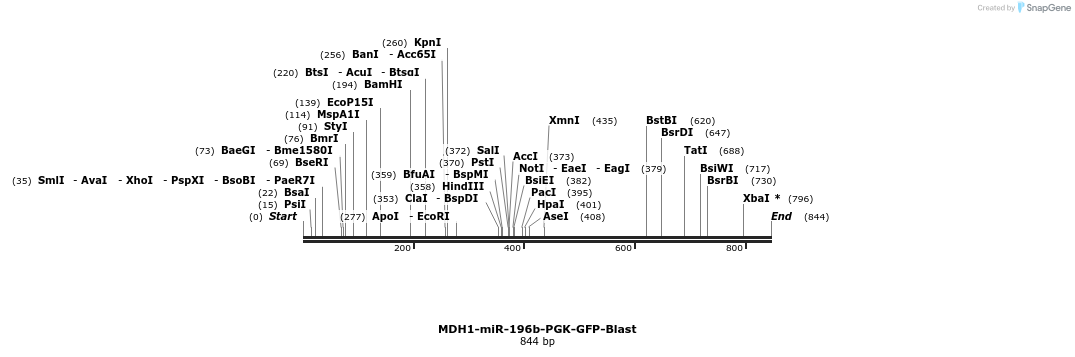 37620_map