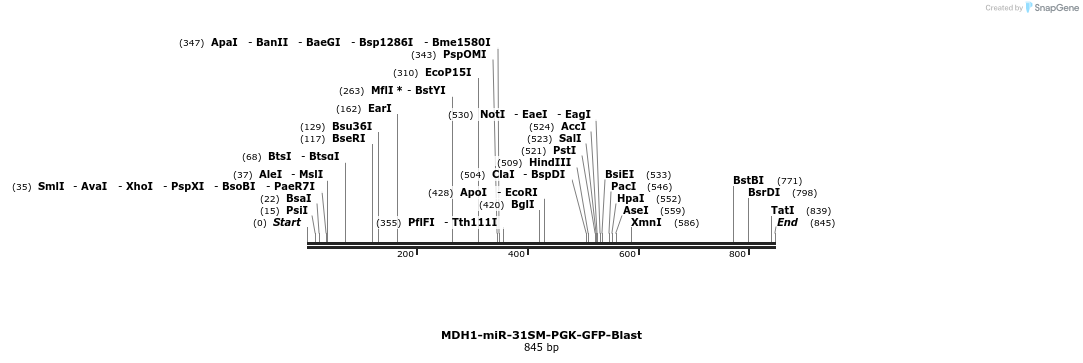 37624_map