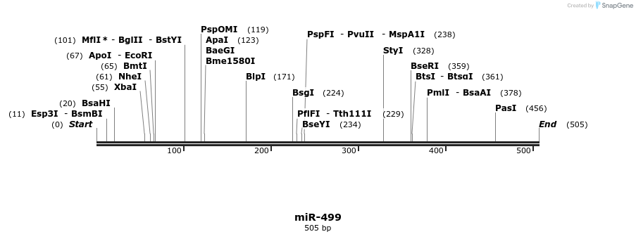 37625_map