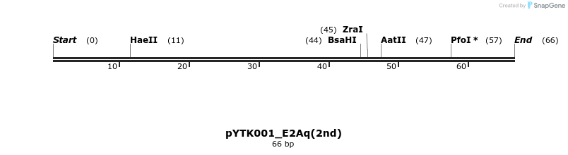 376264_map
