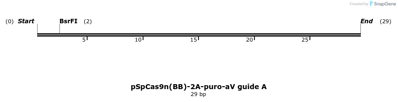 376306_map