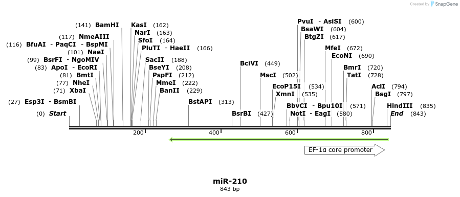 37632_map