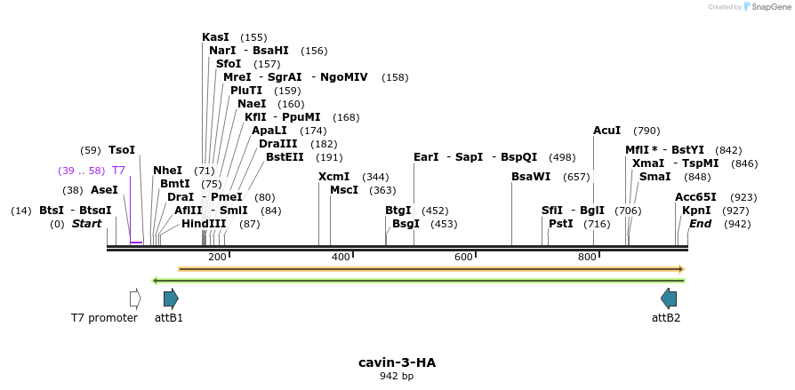 37633_map