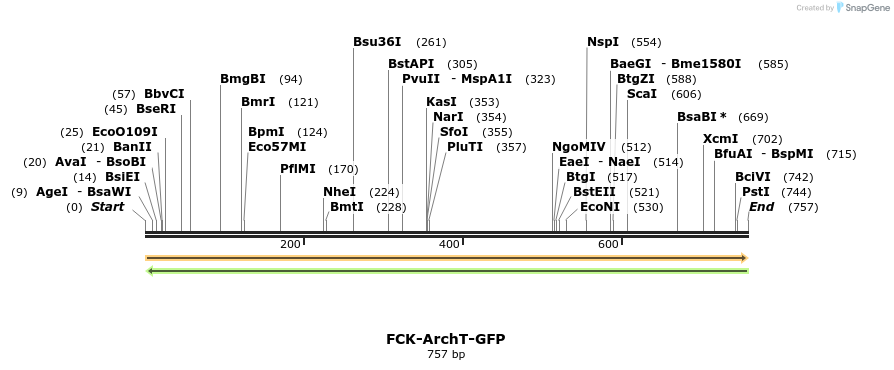 37635_map