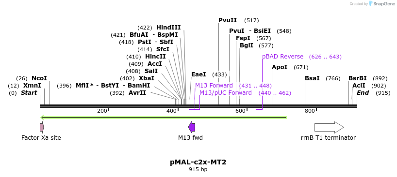 37636_map