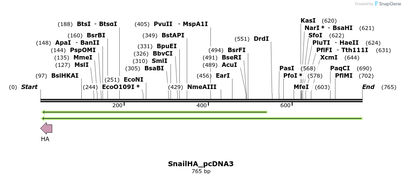 37638_map