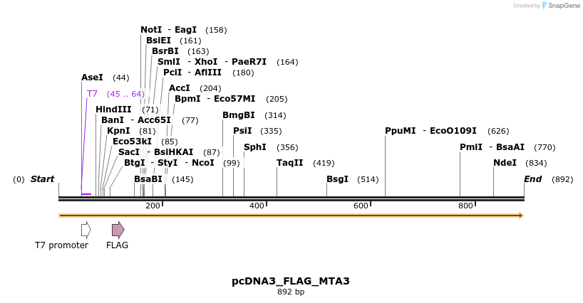 37639_map
