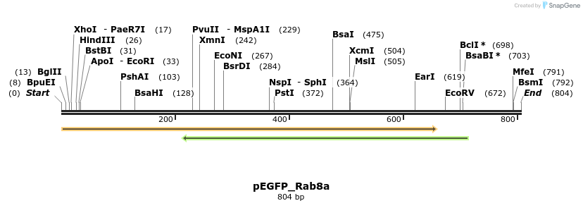 37640_map