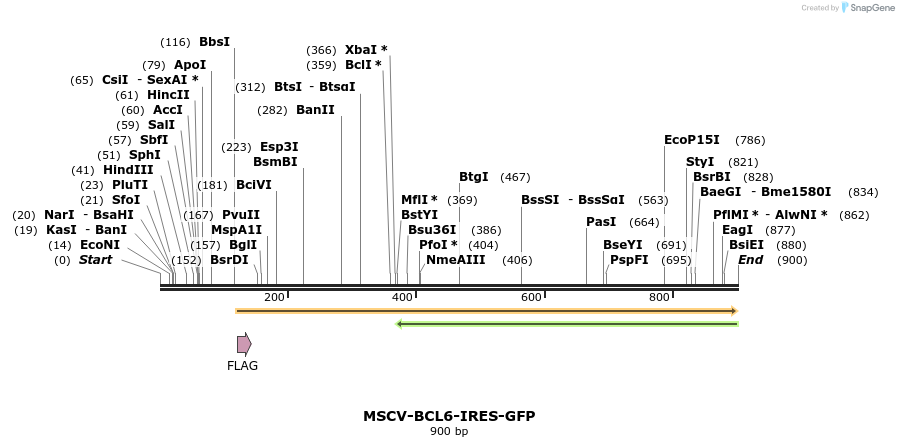 37642_map