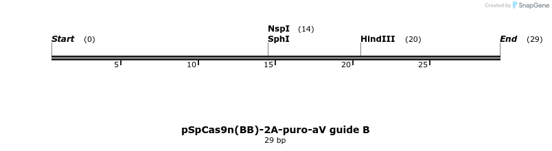 376420_map