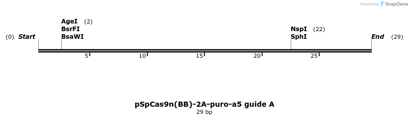376422_map
