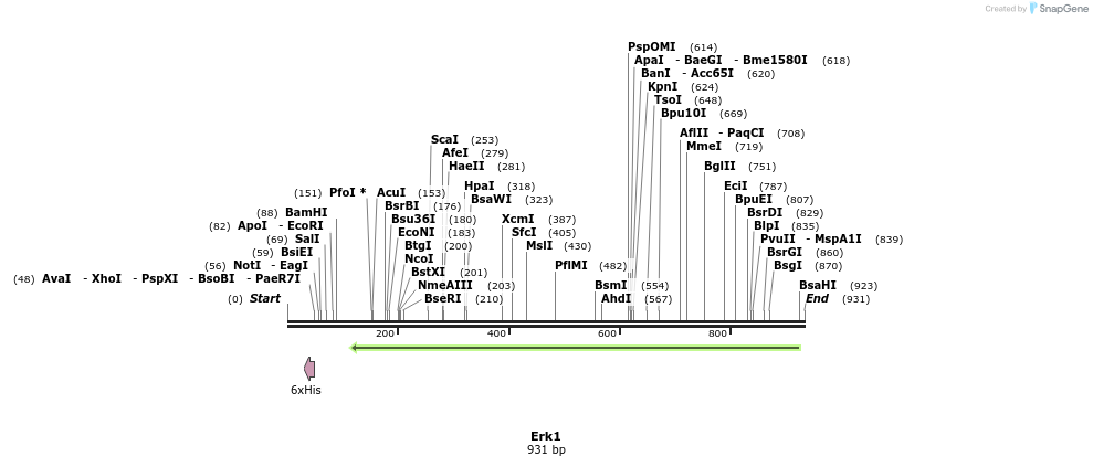 37644_map