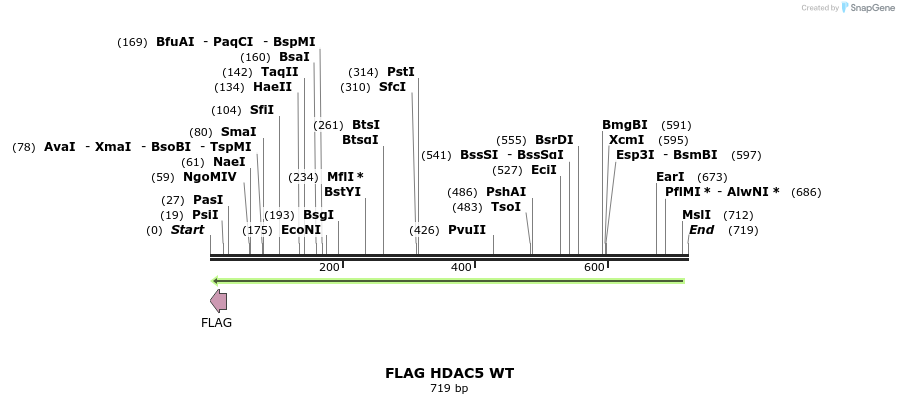 37647_map