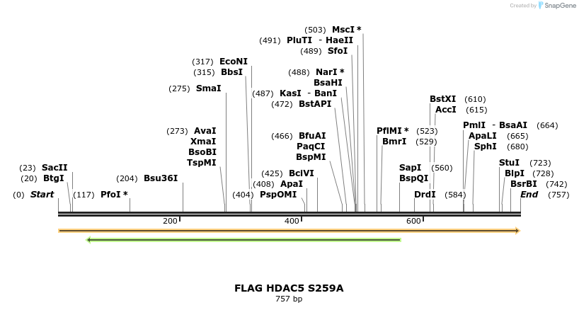 37648_map