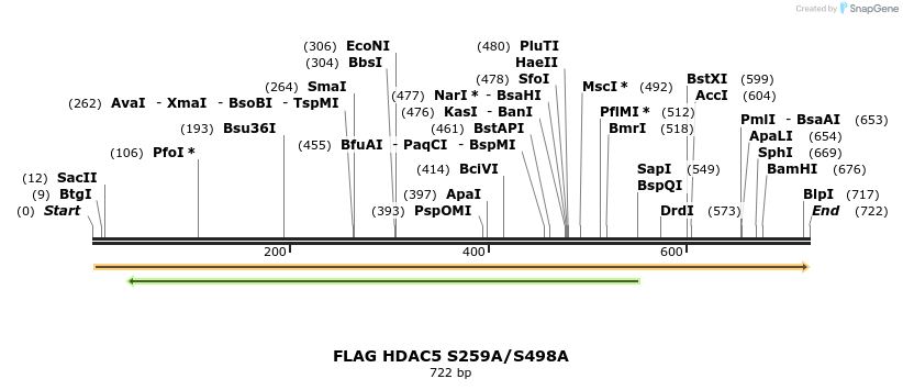 37649_map