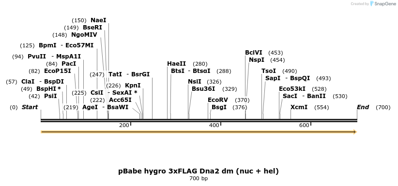 37652_map